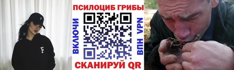 Псилоцибиновые грибы Psilocybe  Бирюч 