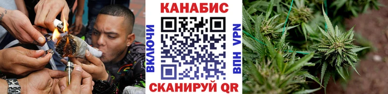 Конопля планчик  Бирюч 